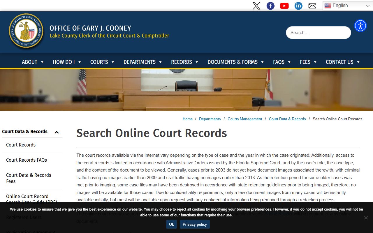Lake County court records acknowledgement page with access limits and Accept and Search Court Records button