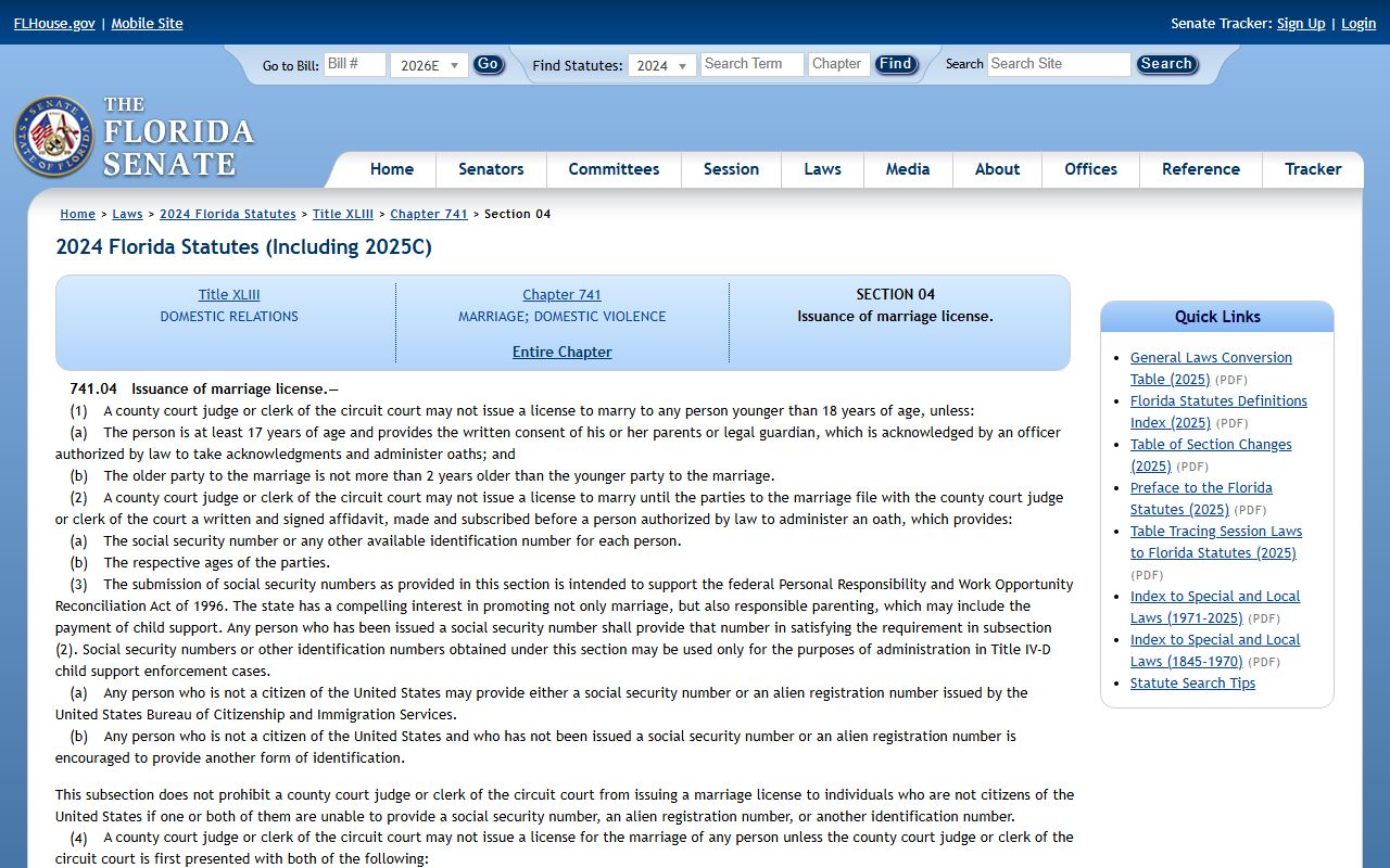Lake County marriage records statute page for Florida 741.04