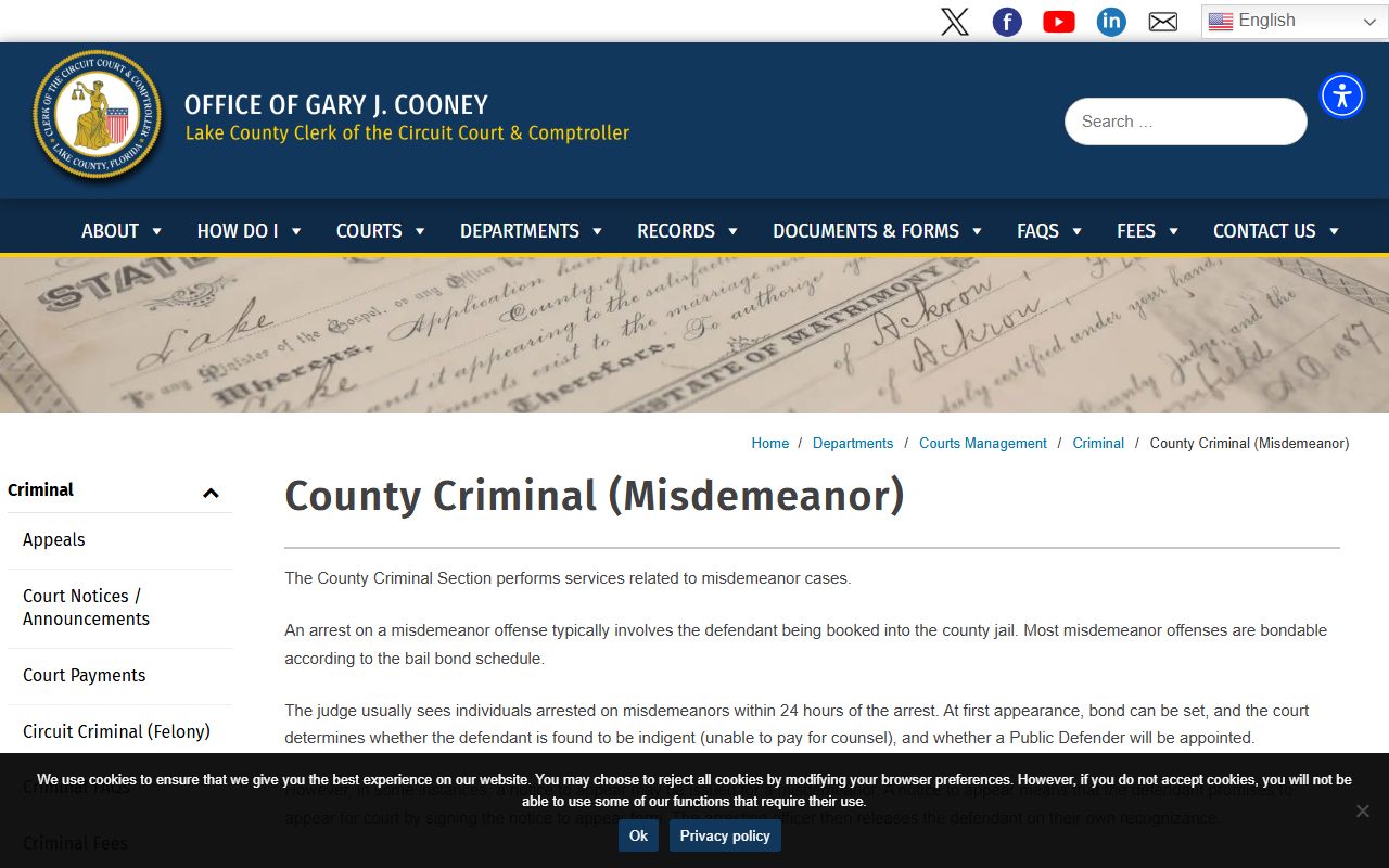 Lake County misdemeanor records page for County Criminal cases