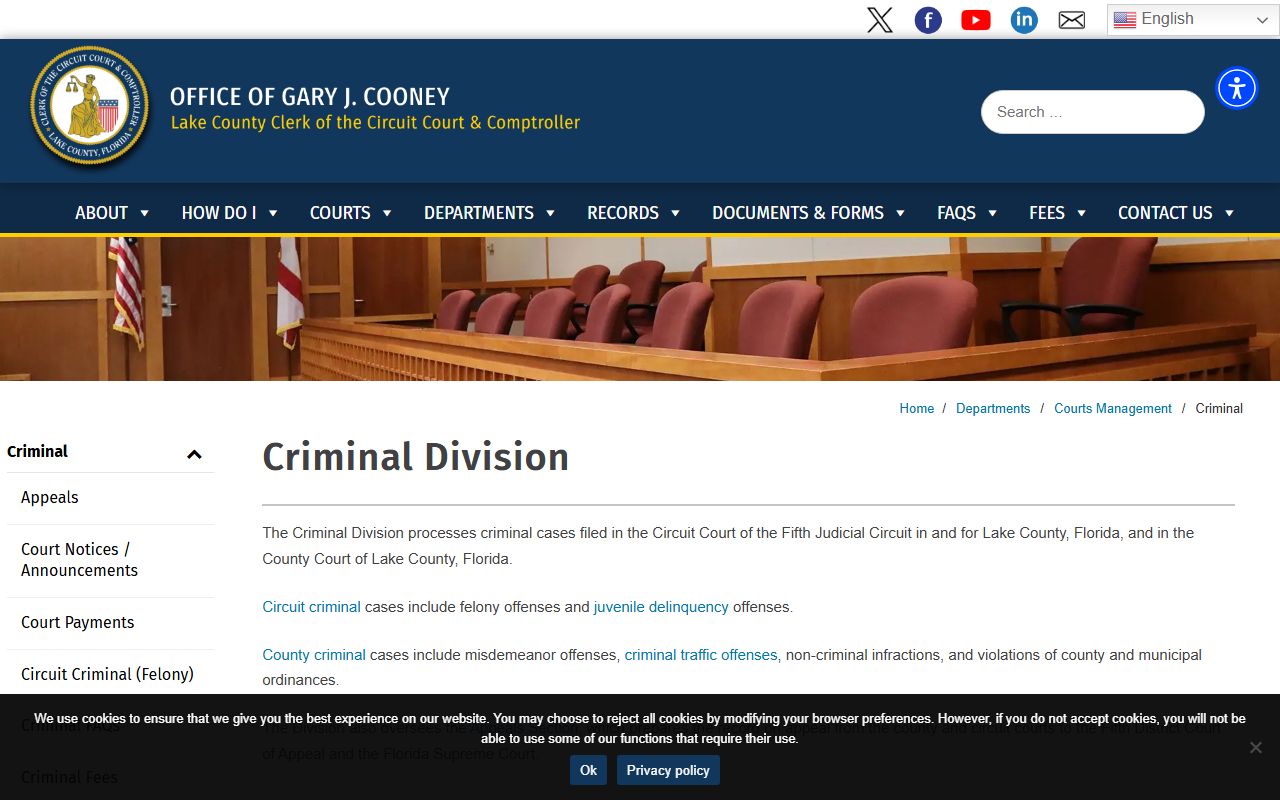 Lake County court records criminal division official page
