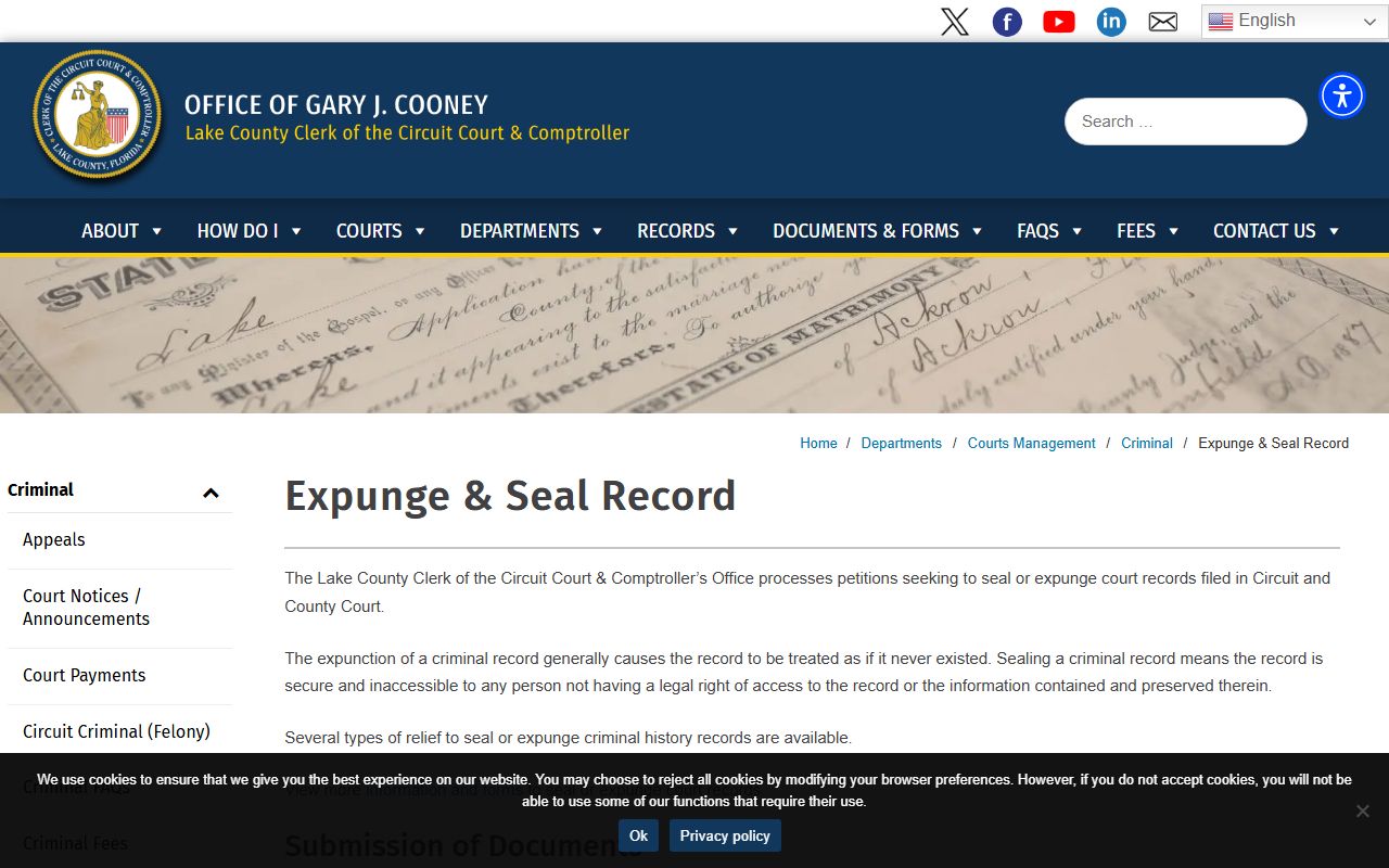 Lake County court records expunge and seal official page