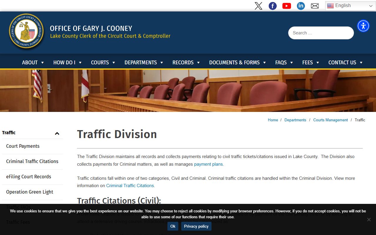 Lake County court records traffic division official page
