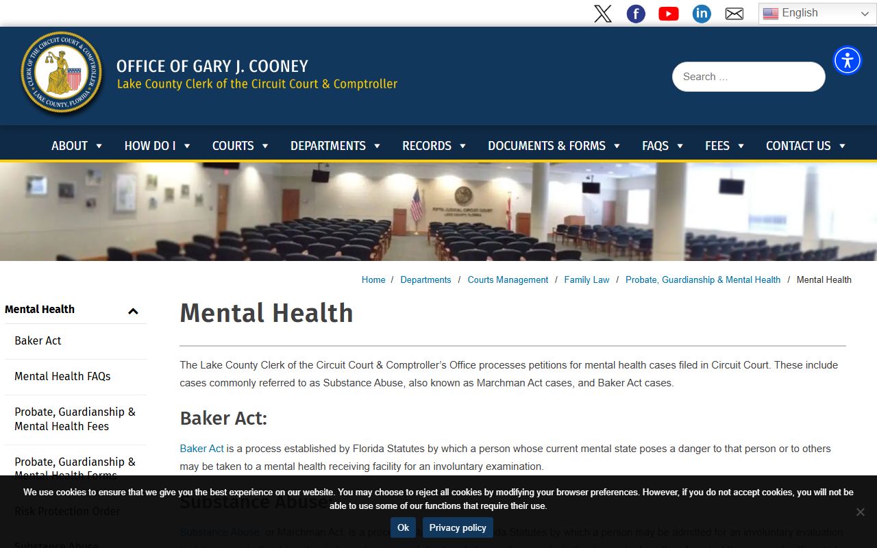 Lake County probate records official mental health court page