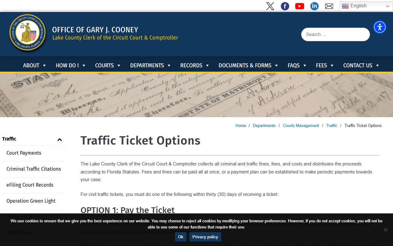 Lake County traffic ticket options page from the Clerk of Court